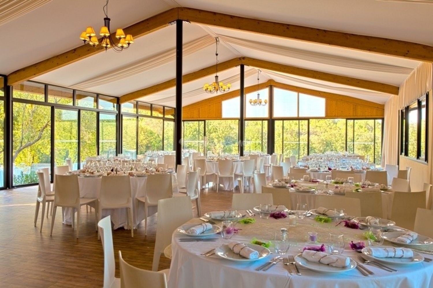 Reception room in the middle of an equestrian center