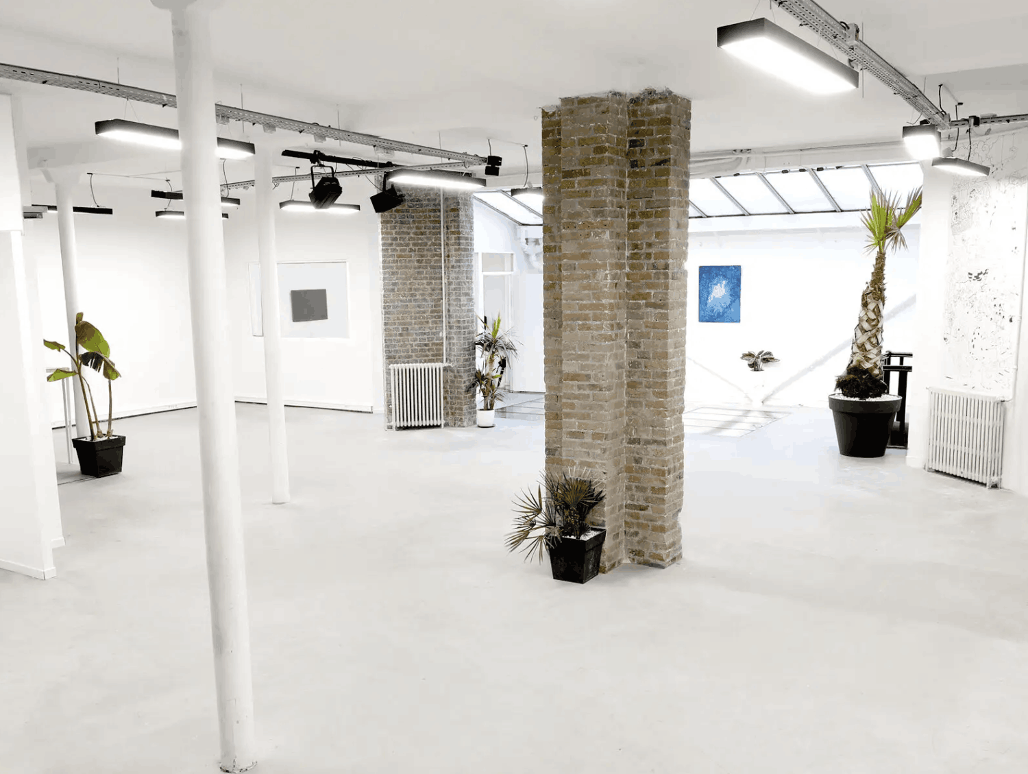 Atypical bright loft under glass roof