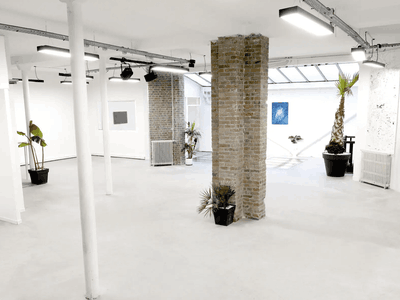 Atypical bright loft under glass roof