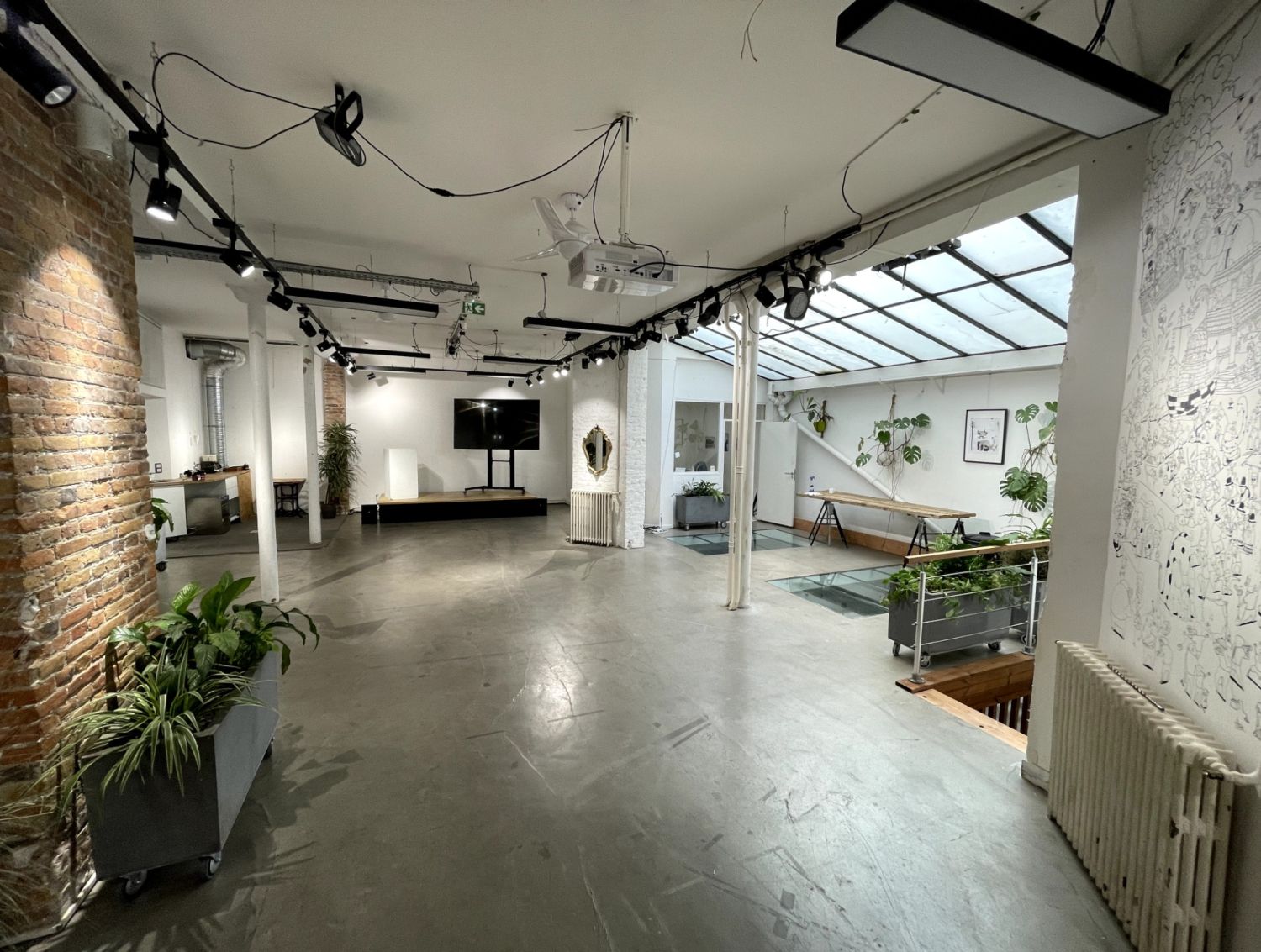 Atypical bright loft under glass roof
