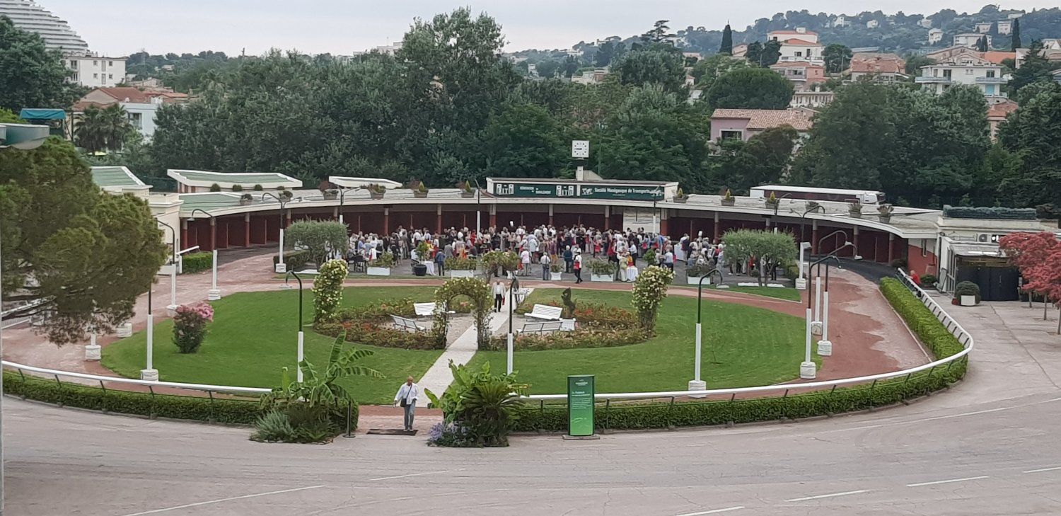 The Rose Garden