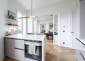 Beautiful Parisian apartment with a view of Notre-Dame