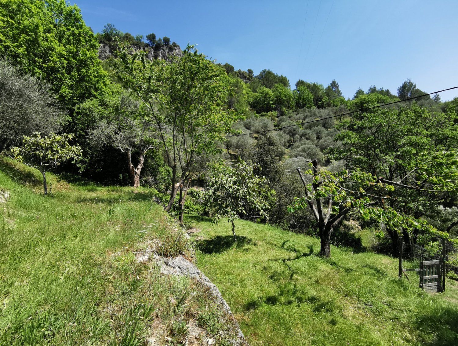 Covered terrace with one hectare of land