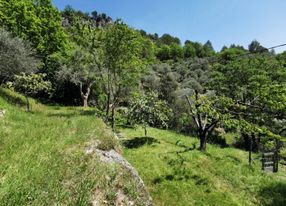 Covered terrace with one hectare of land