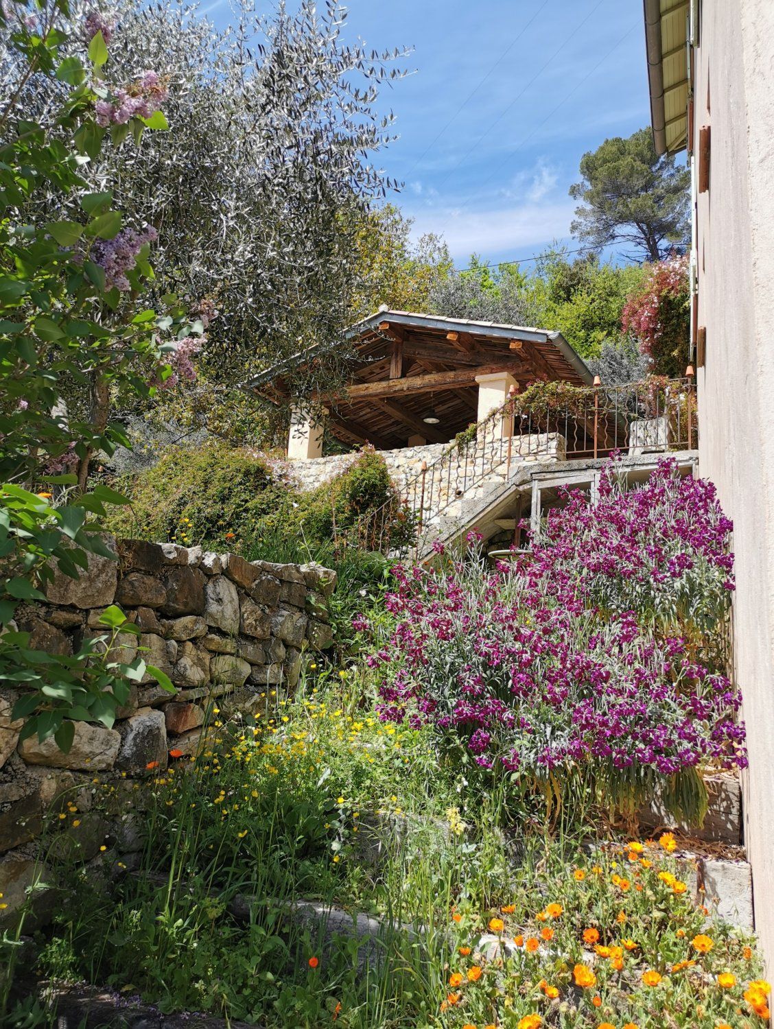 Covered terrace with one hectare of land