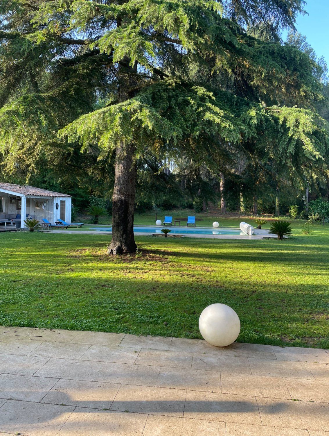 Garden with swimming pool