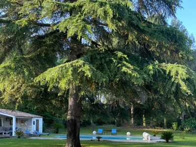 Garden with swimming pool