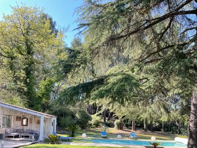 Garden with swimming pool