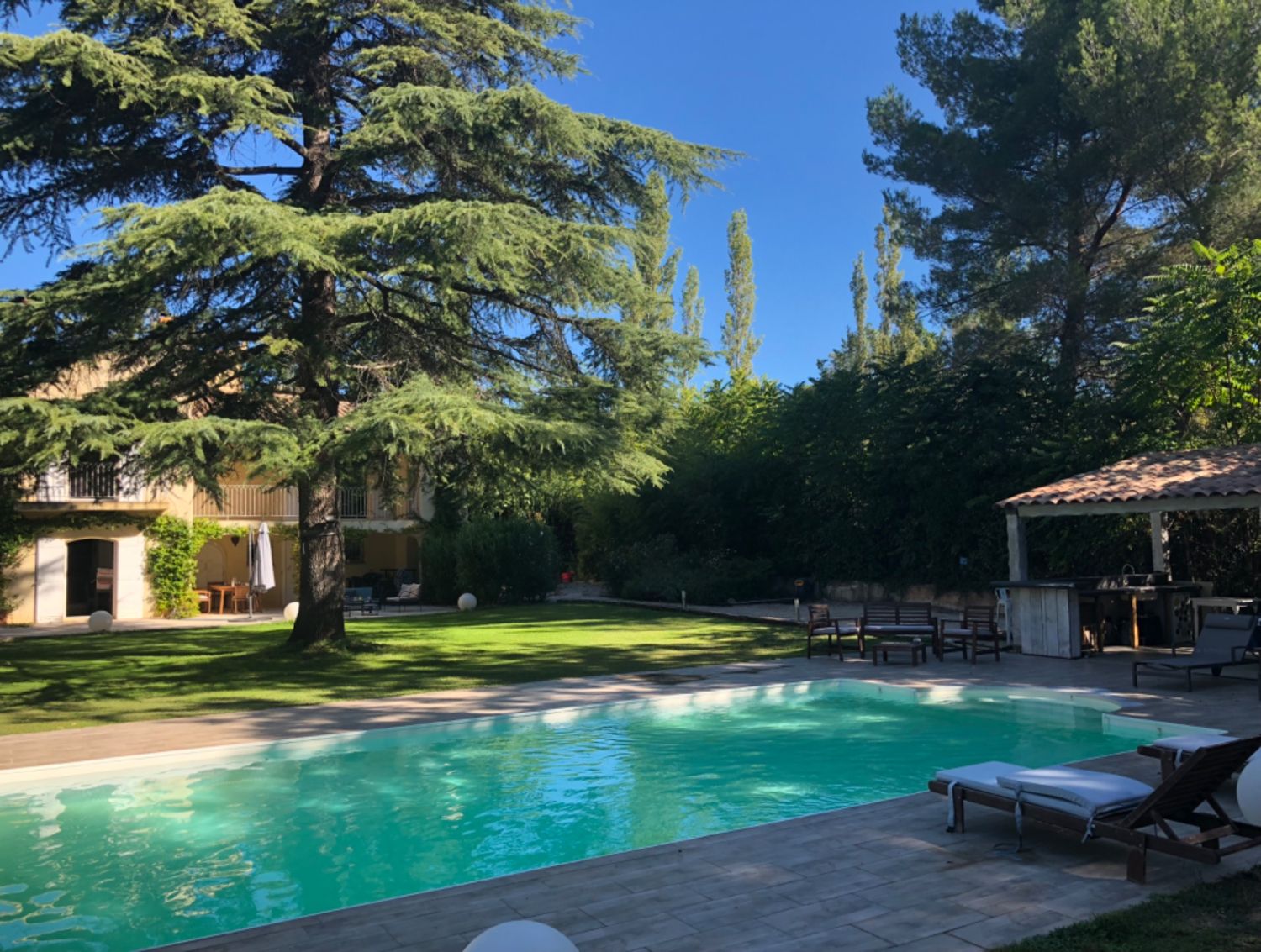 Garden with swimming pool