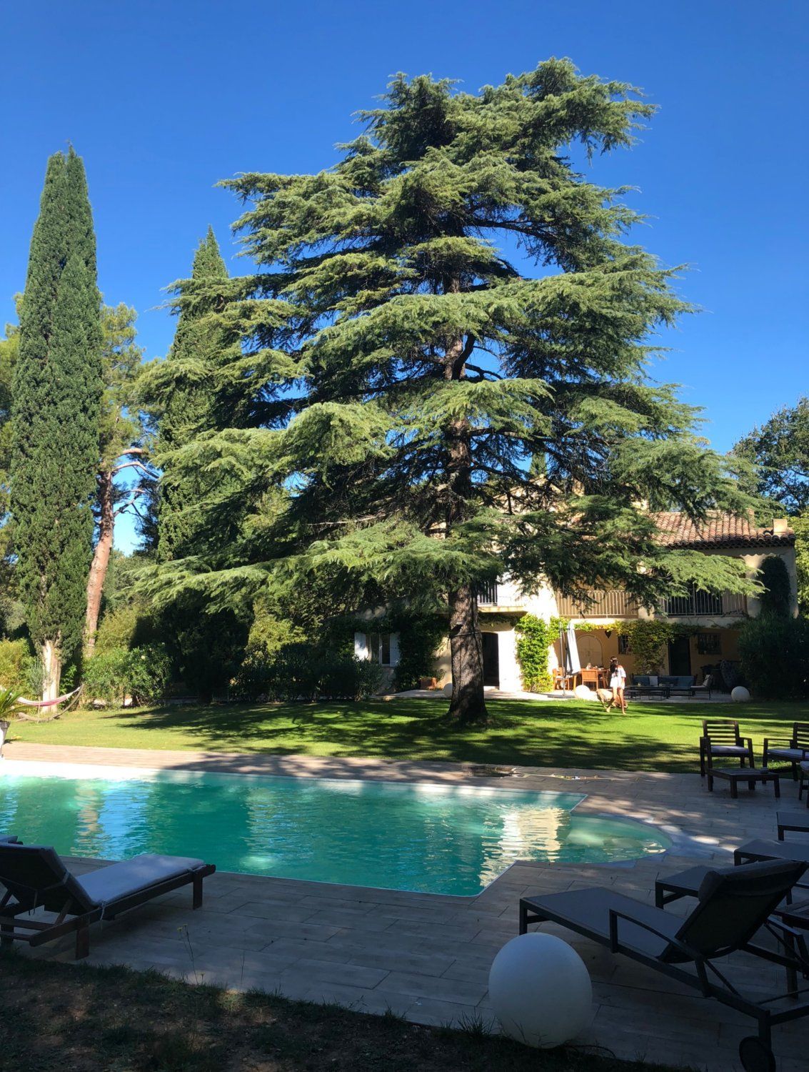 Garden with swimming pool