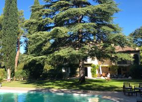 Garden with swimming pool