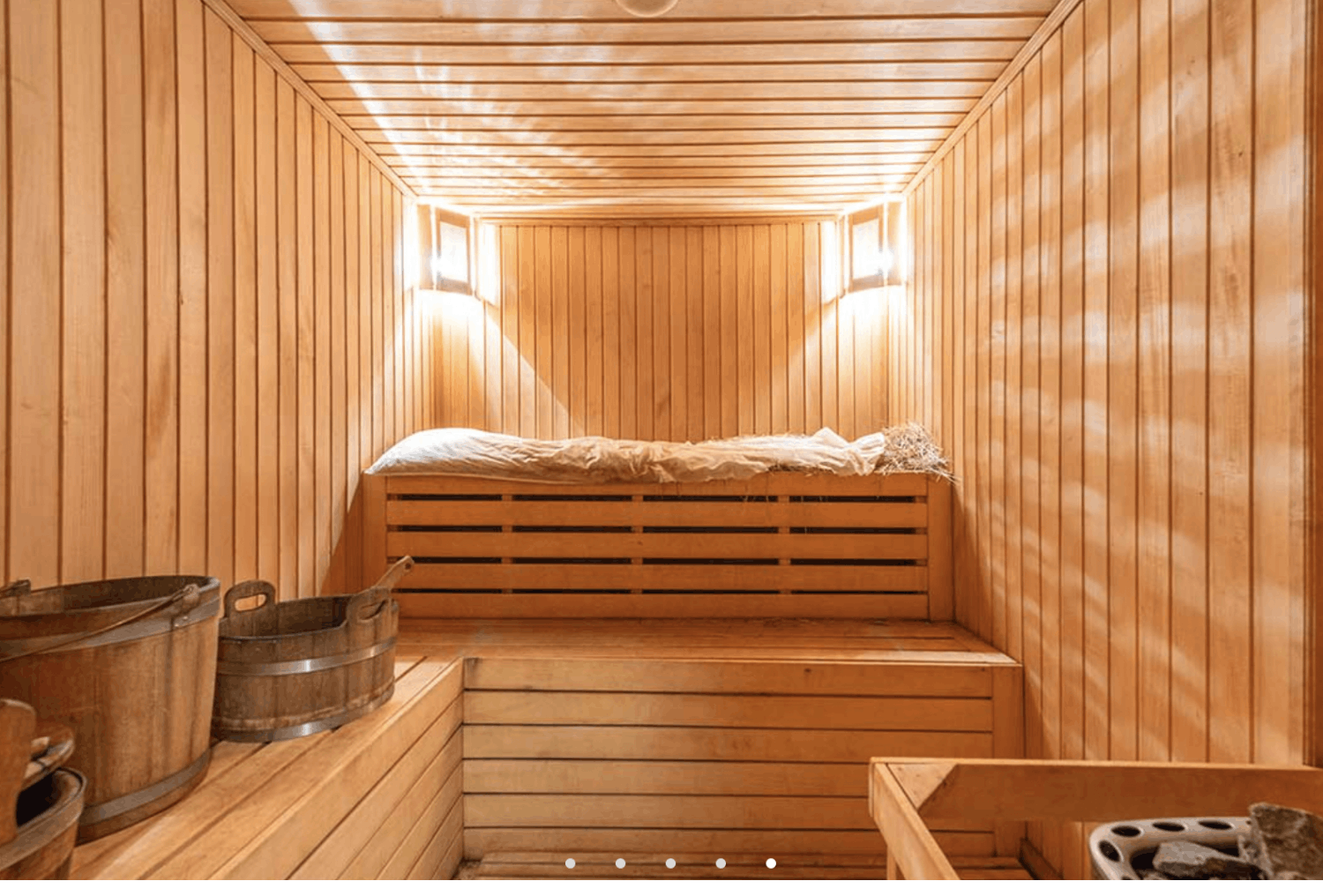 Hotel/chalet in Savoie