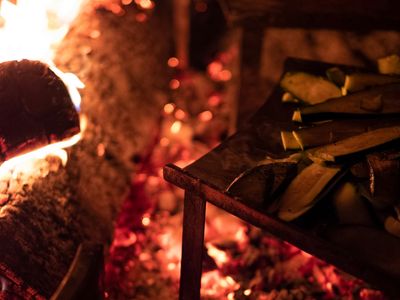 Ecolodge in the heart of the Normandy forest for a green seminar!