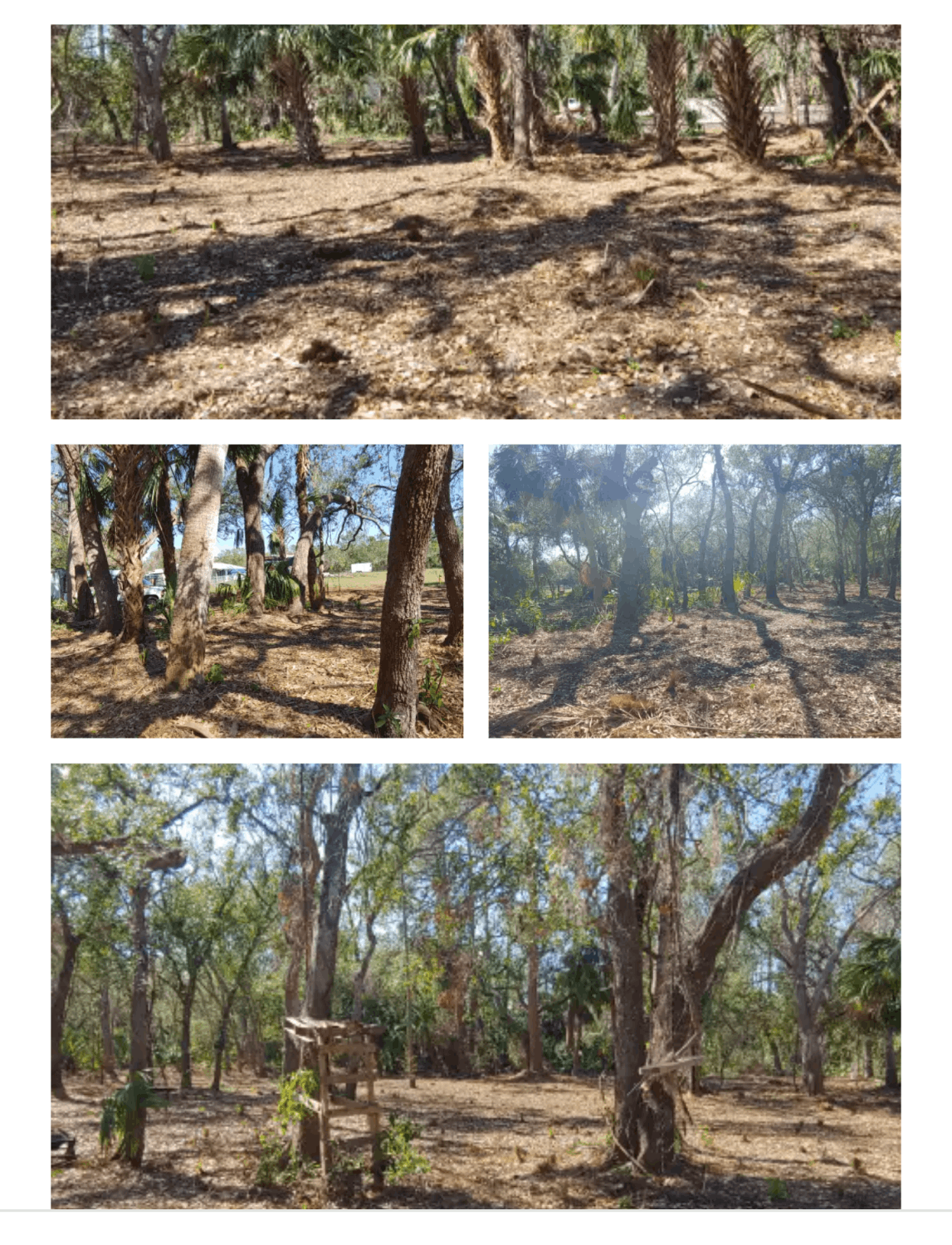 Événements et camping pour Pawssibilities