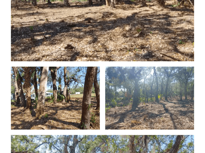 Events and Camping For Pawssibilities