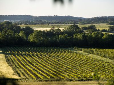Wine estate in the scrubland