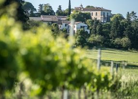 Wine estate in the scrubland