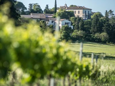 Wine estate in the scrubland