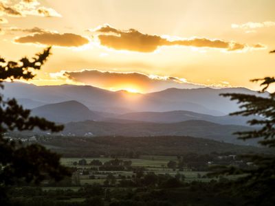 Wine estate in the scrubland