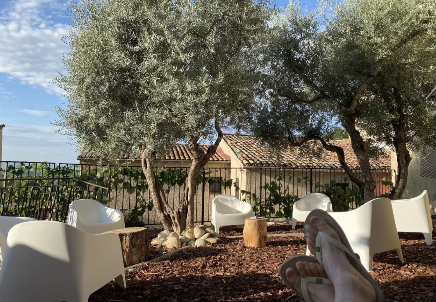 Landscaped garden of 150 m²