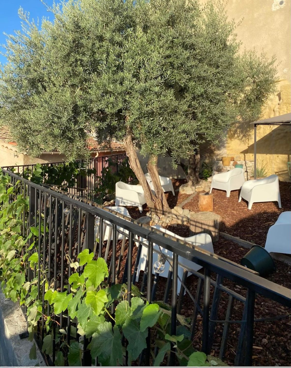 Landscaped garden of 150 m²