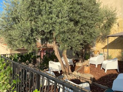 Landscaped garden of 150 m²