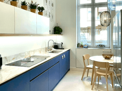 Prestigious apartment Nice