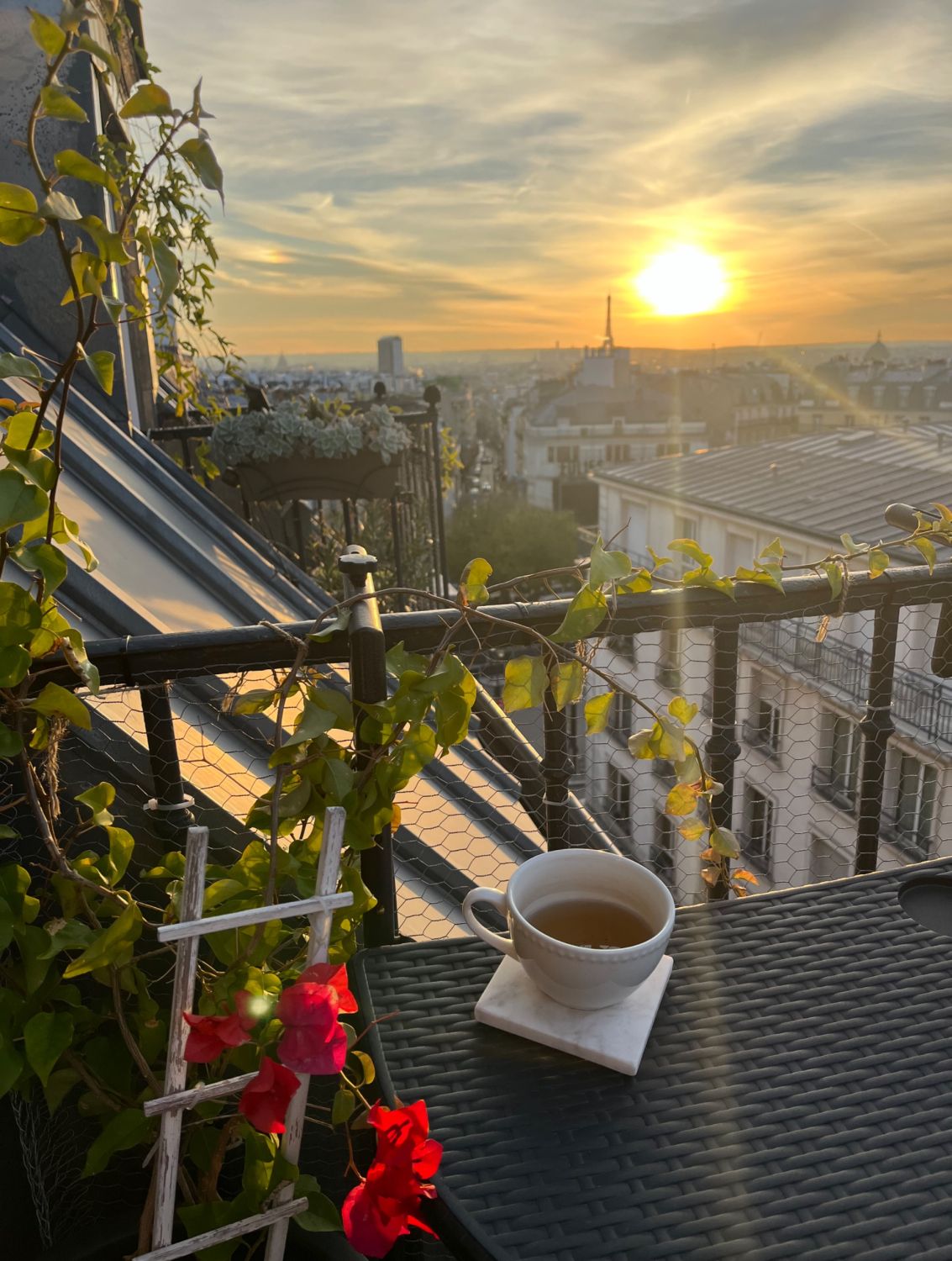 'Balconies with Eiffel Tower and sunset views', 