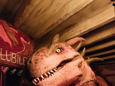 Taverne médiévale immersive (70m2 sur deux niveaux)