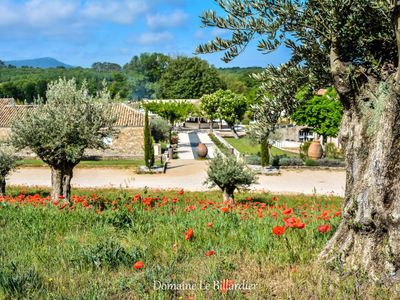 Estate between vineyards and forest