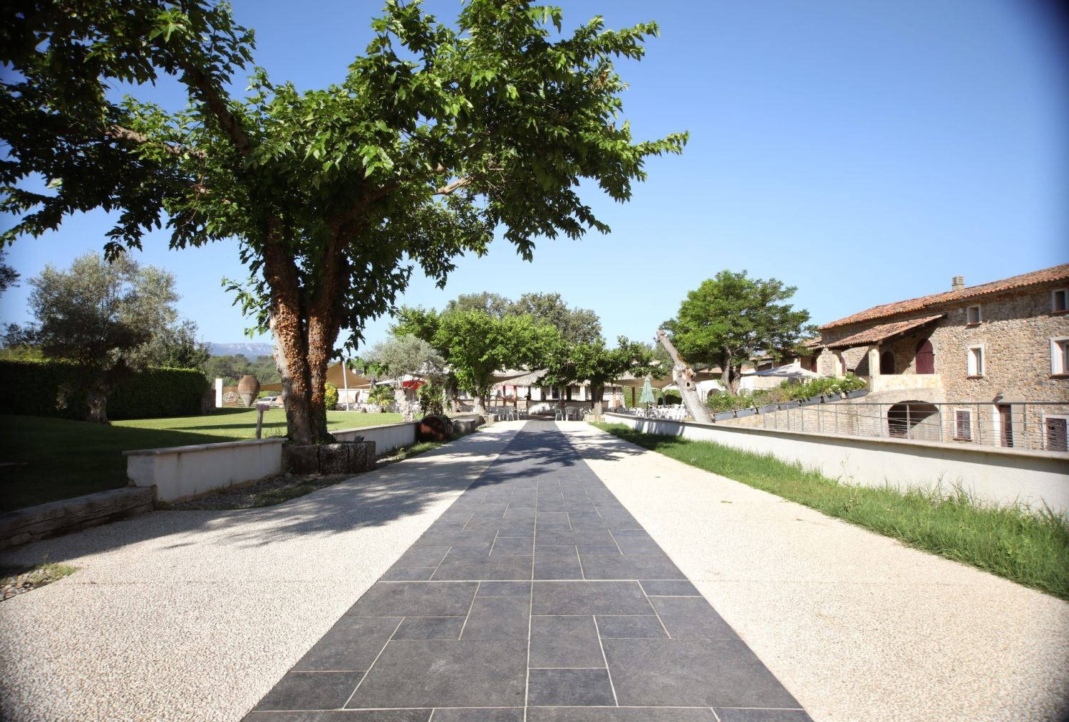 Domaine entre vignes et forêt