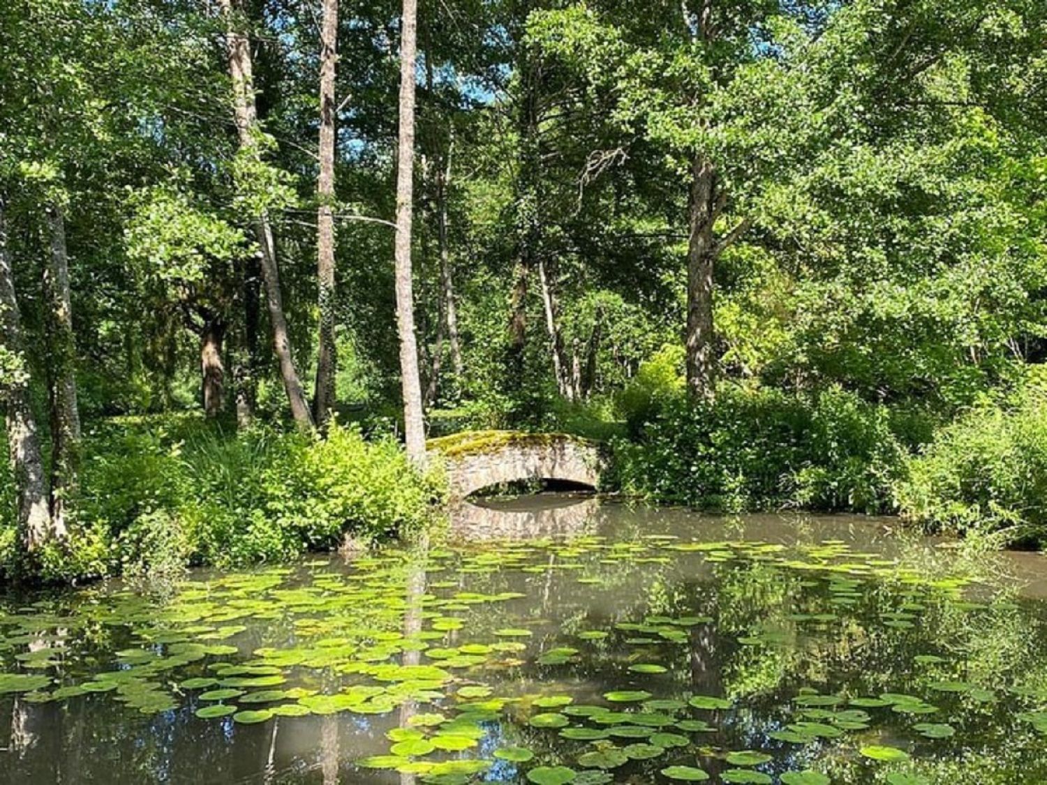 Parc paradisiaque et domaine de conte de fée