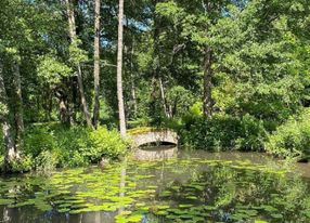 Paradise park and fairytale estate