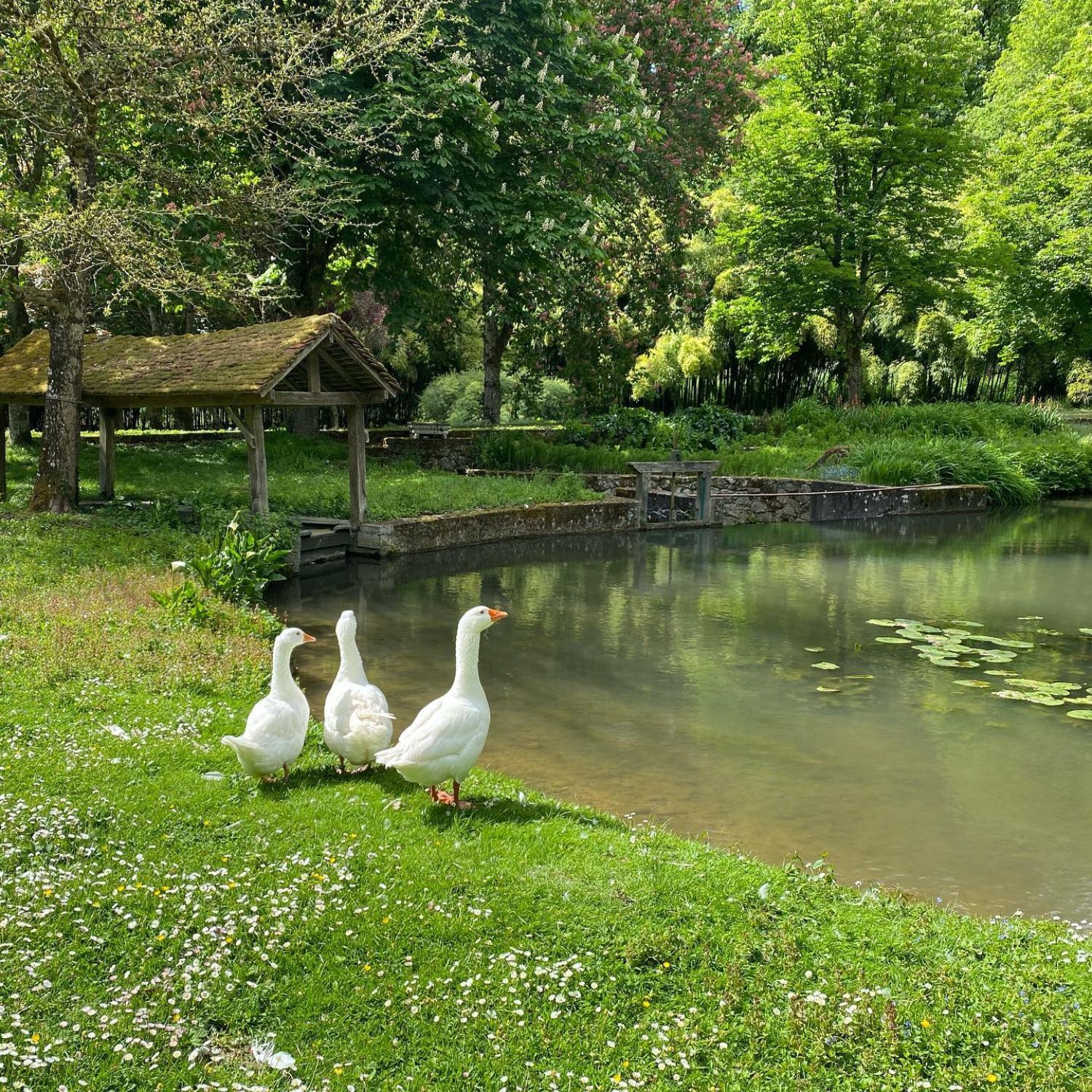 Parc paradisiaque et domaine de conte de fée