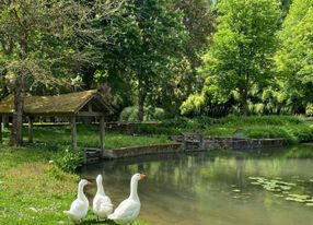 Paradise park and fairytale estate