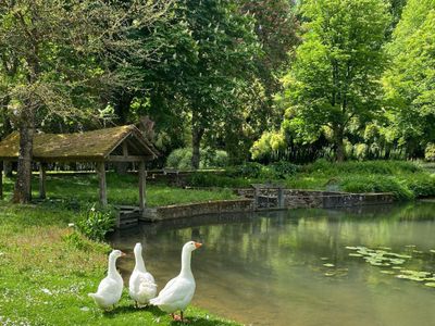 Paradise park and fairytale estate