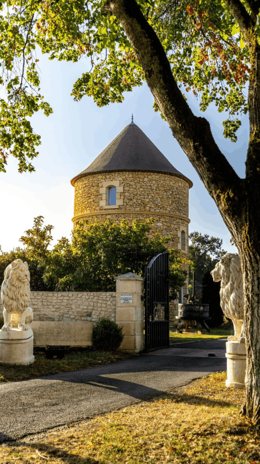 Exceptional castle in a wine estate