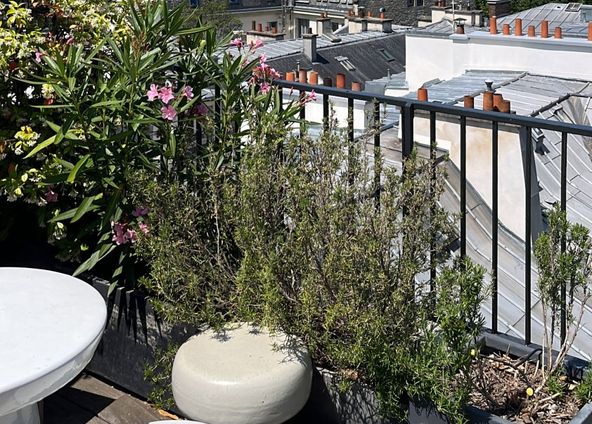 St Germain des Prés: 50 m² terrace with full sky view of the Eiffel Tower 