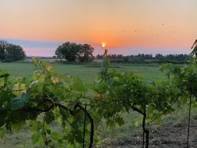 Agritourism Provençal Estate
