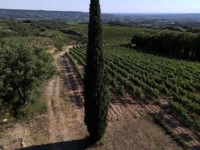 Vineyard - beautiful view - large flat land