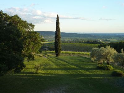 Vineyard - beautiful view - large flat land