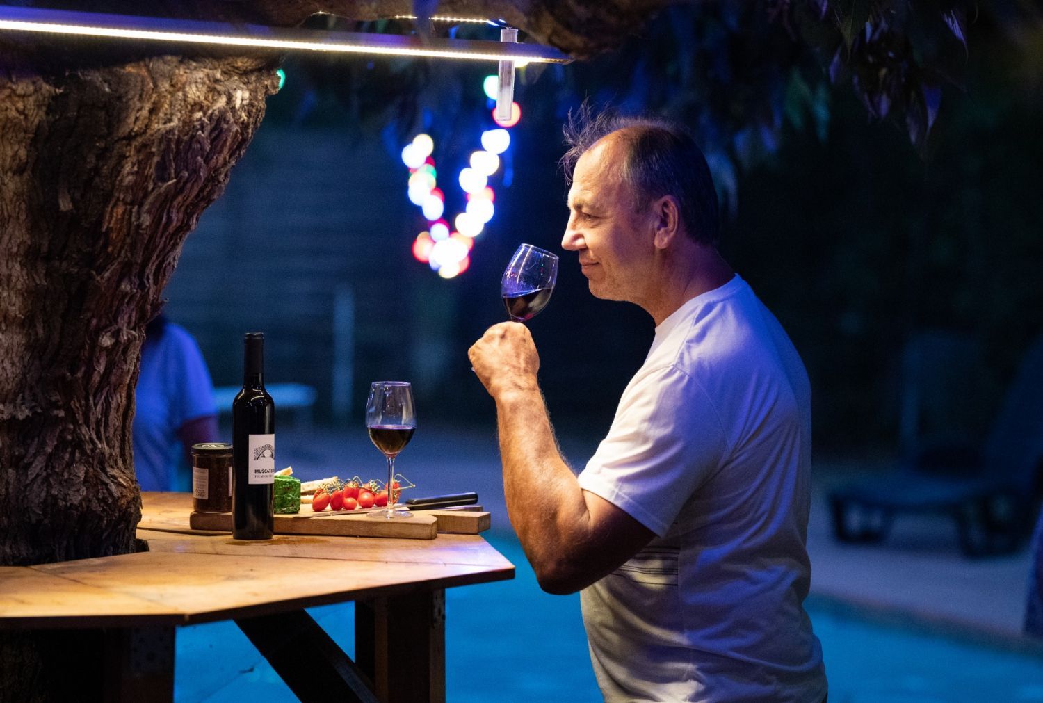 Unique Event Venue with Poolside Food Truck in Saint-Marc-Jaumegarde