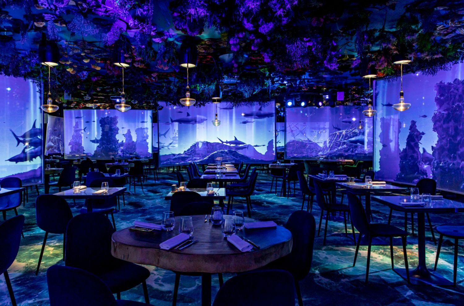 Immerse in an Underwater Parisian Restaurant for Unforgettable Events