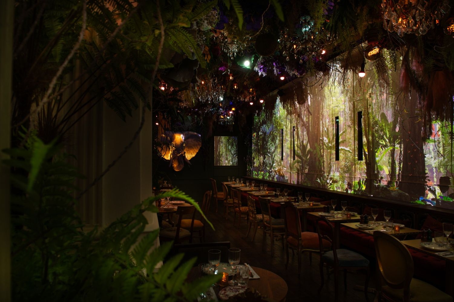 Immersive Jungle Restaurant in Paris for Unique Events