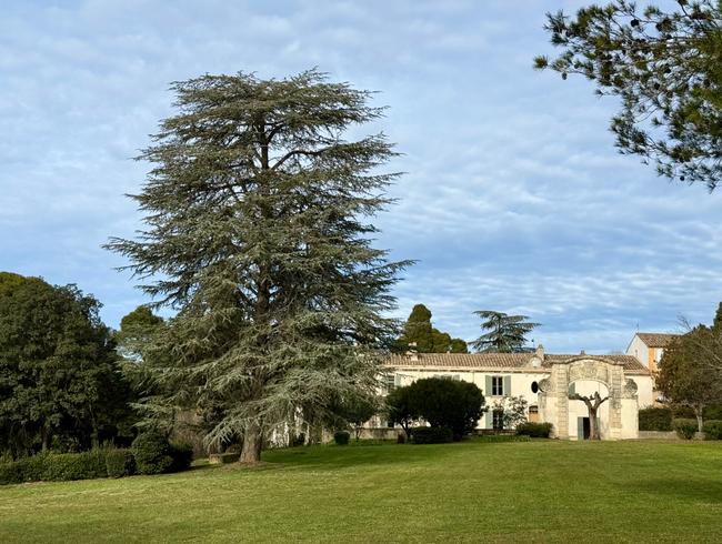 Mas de Bek : Domaine Provençal pour Événements en Petite Camargue