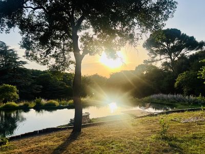 Mas de Bek : Domaine Provençal pour Événements en Petite Camargue