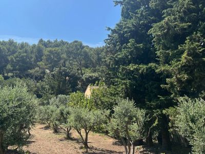 Historic Orangery in Les Baux-de-Provence | Olive Grove Events
