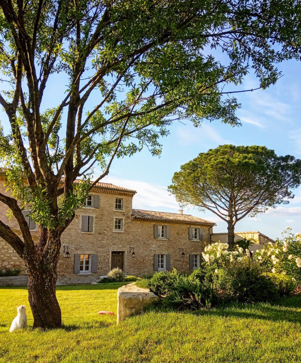 Mediterranean garden of a wine estate in Provence with swimming pool