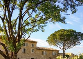 Mediterranean garden of a wine estate in Provence with swimming pool