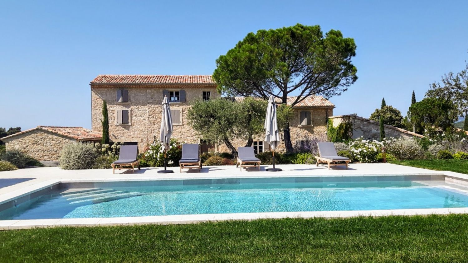 Mediterranean garden of a wine estate in Provence with swimming pool